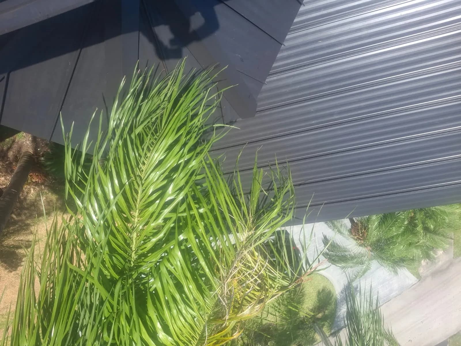 The Real Cost Of Waiting Too Long To Replace Your Roof